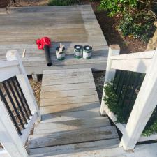 Deck Cleaning Sealing 1