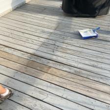 Deck Cleaning Sealing 2