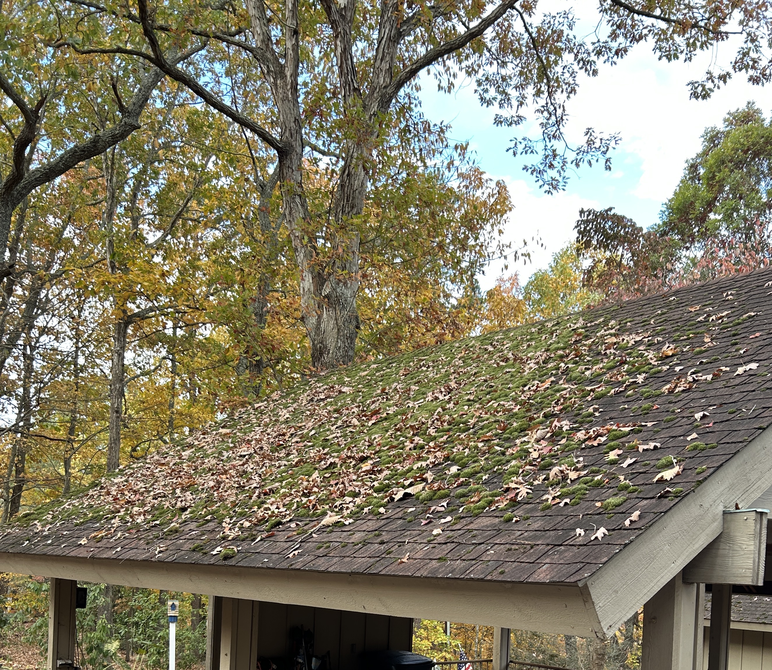 A Thorough Roof Washing Project Completed in Asheboro, NC